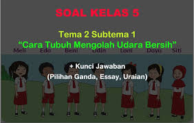 We did not find results for: 40 Soal Tematik Kelas 5 Tema 2 Subtema 1 Cara Tubuh Mengolah Udara Bersih Jawaban Muttaqin Id