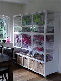 Just Pinned To Rattiefluffs Great Rat Cage Idea Boy Do I Wish I Had A Bigger House So I Could Give My Rats Http Ift Tt 2p7ckvb Http Ift Tt 2o4mdp5 Rat Cage Pig House Ferret Cage