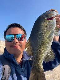 Mangled vehicle spotted