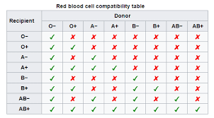 Rational Blood Type Chart Donor And Recipient Blood Type And