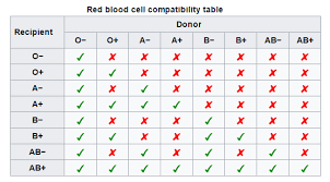 rational blood type chart donor and recipient blood type and