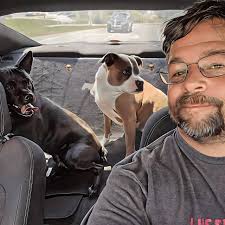 Lost cat. Gray bobtail. Her name is Purrsia. She is about 15ish pounds. She  is chipped and fixed. She's my emotional support animal and my baby. Please  help me bring her home.