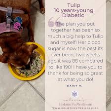 They will also help you evaluate this diabetic food recipe to make sure it will meet your pet's unique nutritional needs. Testimonial Tulip S Diabetic Dog Diet Holistic Pet Wellness
