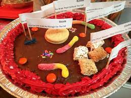 How to make edible animal cell cookie cake. Animal Cell Model Ideas For Your Science Project Easy And Creative Animal Cells Model Edible Cell Science Cells