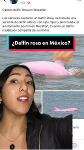 Delfines rosados #delfin #dolphin #dolphins #delfines #delfinesrosados  #sabiasque #aprendeentiktok #animals #ocean #river