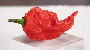 Free shipping on orders over $25 shipped by amazon. Masterchef Australia Features Eight Of The Hottest Chillies On The Planet Have You Tried Any Lifestyle News The Indian Express