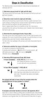 american spinal cord injury association asia impairment