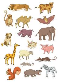 French Names For Young Animals French Language Blog Young Animal Animals French Names