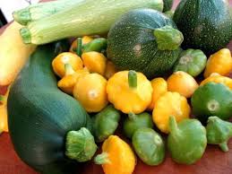 Benefits hindi me hindu hinduism how to india information instagram internet ipl 2021 kaise. Summer Squash 101 Youtube