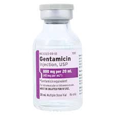 Image result for Gentamicin