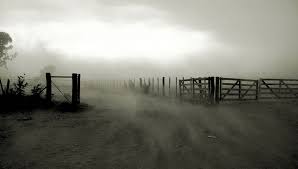 Maybe you would like to learn more about one of these? Infocampo Se Acercan Los Meses Frios Y Acecha El Viento Pampero
