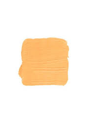 Top Orange Paint Colors