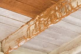 Can pest control chemicals make you sick? Pest Control By Fumigation Types Of Chemicals To Use The Dirt Doctors