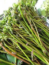 Look through examples of paku pakis translation in sentences, listen to pronunciation and learn grammar. Pantry 101 Paku Vs Midin Feats Of Feasts