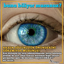 Kisi Herhangi Bir Seye Odaklandiginda Beyin Gozunun Onunde De Olsa Odak Noktasi Disindaki Diger Seyleri Gormezden Gelir Bu Durum Bilgi Karti Bilgi Psikoloji
