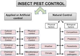 Entomology and pest management (6th edition). Insect Pest Management In Conservation Agriculture Springerlink