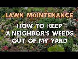 What's the best way to keep a neighbor's dog out of your yard? How To Keep A Neighbor S Weeds Out Of My Yard Youtube