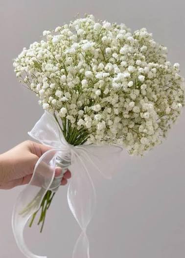 Round Baby's Breath Bridal Bouquet - Classic Style – www.wgifts.sg