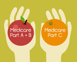 Image result for medicare part c illustration