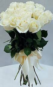 Gifs buon compleanno fiori per la ragazza immagini animate. Sign In Fiori Di Compleanno Bellissimi Fiori Rose Bianche