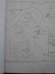 Image result for Sclerochiton obtusisepalus