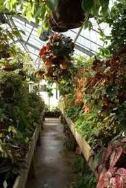Le Jardin Botanique De Nancy Afabego