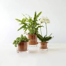 Self Watering Wet Pots Self Watering Pots Self Watering Watering