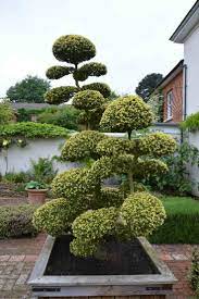 A Secret Surrey Garden Japanese Garden Style Japanese Garden Japanese Garden Backyard