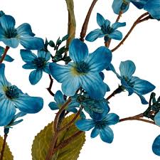 Image result for Vernicia fordii