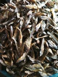 Maybe you would like to learn more about one of these? Jual Ikan Salai Baung Di Lapak K Galleri Bukalapak