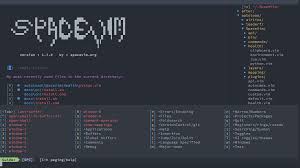 Maybe you would like to learn more about one of these? Documentation Spacevim