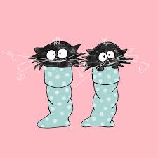 This image wallpaper blink black cat wallpaper hd 15 1920 x. Cat Don T Care Illustration Animation Natalie Palmer Sutton Creative Portfolio