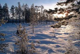 Snow depths, open slopes and lifts. Christmas In Sweden The Ultimate Guide Routes North