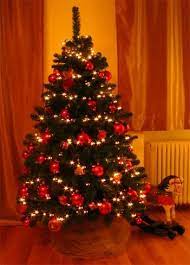 Maybe you would like to learn more about one of these? Imagini Pentru Poze Brad De Craciun Impodobit Traditional Christmas Tree Holiday Decor Christmas