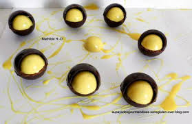 Entremets Vanille Praline D Apres Christophe Adam Croustillant Praline Dacquoise Noisette Creme De Praline Noisette Praline Noisette Ganache Montee Vanill En 2020 Mousse Chocolat Au Lait Biscuit Chocolat Praline Noisette