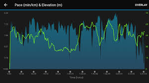 Maybe you would like to learn more about one of these? Pj Half Marathon Nashata