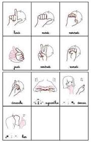 Fais moi signe vous permet d'apprendre facilement le langue des signes. 7 Meilleures Idees Sur Alphabet Langue Des Signes Langue Des Signes Langage Des Signes Bebe Langue Des Signes Pour Bebe