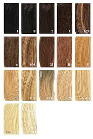 pravana color chart book and hair color swatch book coloring