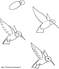 Small Flying Bird Drawing For Kids Image Result For How To Draw Bird Flying Kids Bird Drawings Hummingbird Drawing Drawings