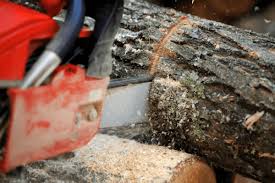 Want to know where to find free firewood to fuel your wood stove and heat the room this winter? Free Firewood Best Places To Find It