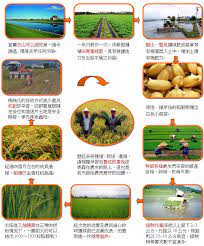 宜蘭縣冬山鄉農會資訊網