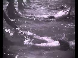 Pour film américain de jim wilson sorti en 1996, voir comme un poisson dans l'eau. Comme Un Poisson Dans L Eau Youtube