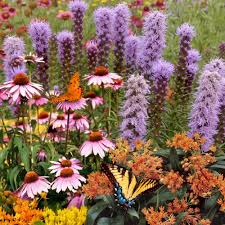 Cottage farms direct 2.5 qt. Cottage Farms Direct