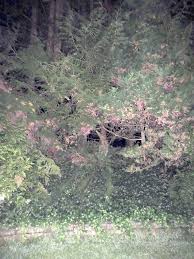 Maybe you would like to learn more about one of these? A Deep Analysis Of The Night Photos Imperfect Plan