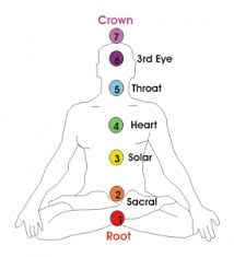 The 7 Chakras A Beginners Guide To Your Energy Systemzenlama