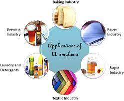 Frontiers Bacterial And Archaeal A Amylases Diversity And Amelioration Of The Desirable Characteristics For Industrial Applications Microbiology