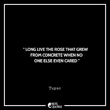 Long live the rose that grew from concrete when no one else even cared. ― tupac shakur, the rose that grew from concrete 31 Powerful Tupac Quotes And Lyrics To Inspire You