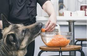 6 ways to prepare carrots for dogs