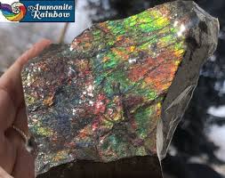 Cherry Farm Creamery