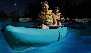 Maybe you would like to learn more about one of these? Try Bioluminescence Kayaking The Tampa Bay 100